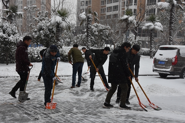 2.公司志愿者冒雪開展義務(wù)掃雪活動(dòng).jpg