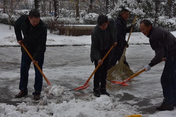 4.公司志愿者冒雪開展義務(wù)掃雪活動(dòng).jpg